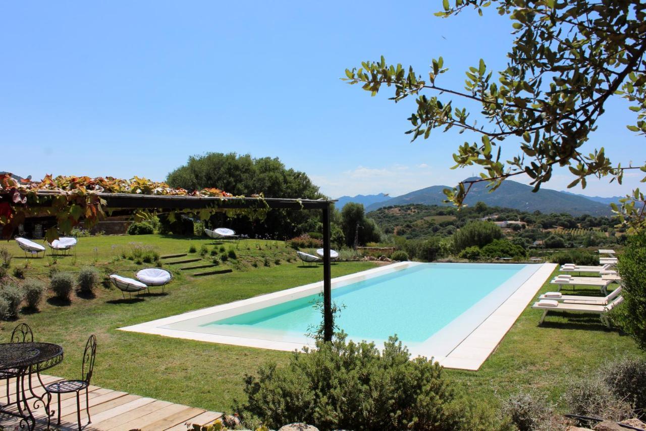 Albero Capovolto Bed & Breakfast Golfo Aranci Dış mekan fotoğraf