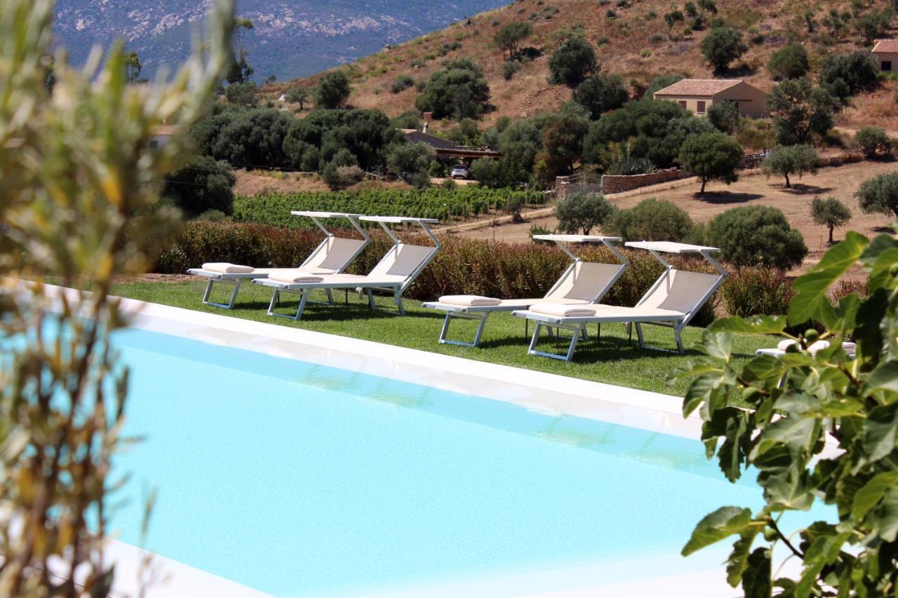 Albero Capovolto Bed & Breakfast Golfo Aranci Dış mekan fotoğraf