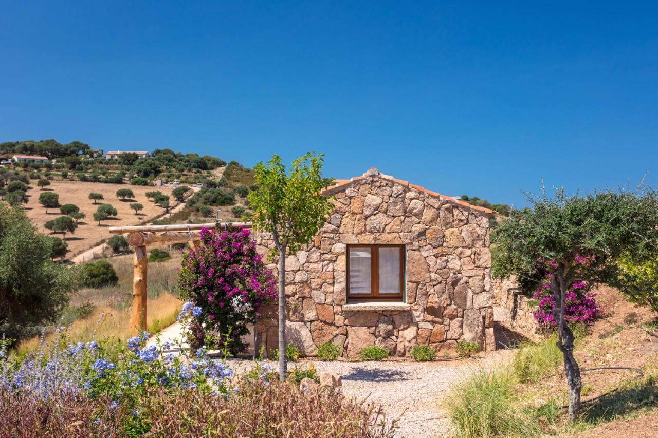 Albero Capovolto Bed & Breakfast Golfo Aranci Dış mekan fotoğraf
