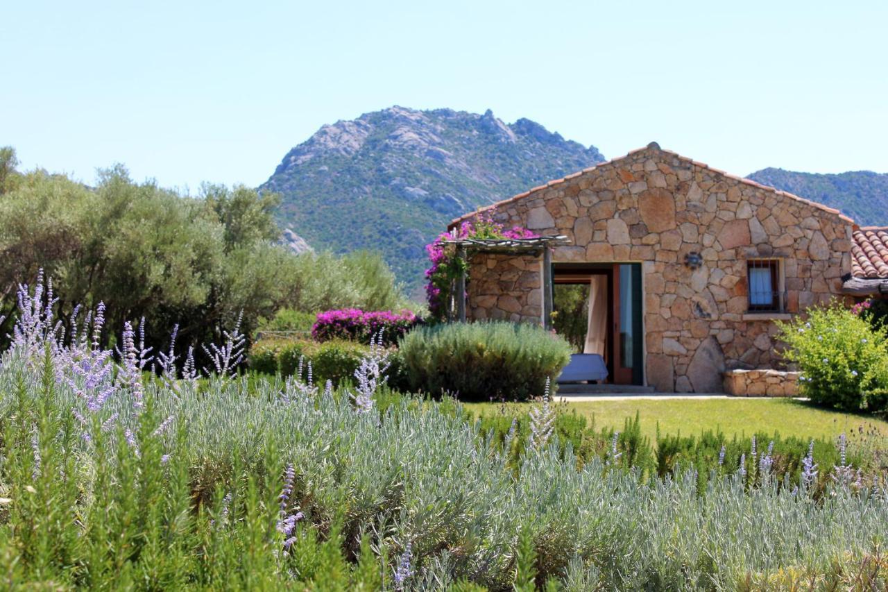 Albero Capovolto Bed & Breakfast Golfo Aranci Dış mekan fotoğraf